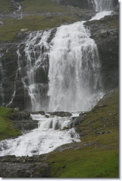 Næste billede